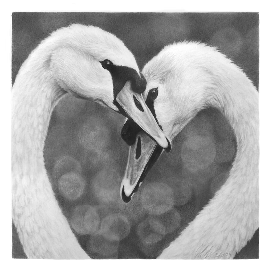 Shape of us (Geese) Shape of us (Geese)