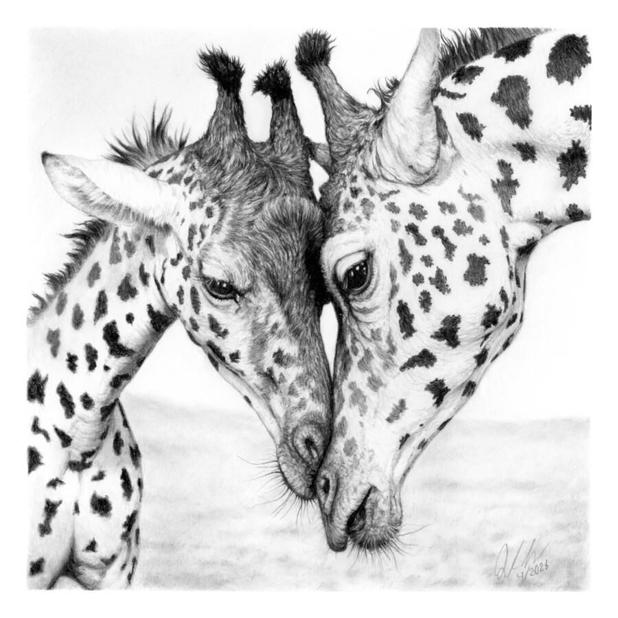 Lean in (Giraffes) Lean in (Giraffes)