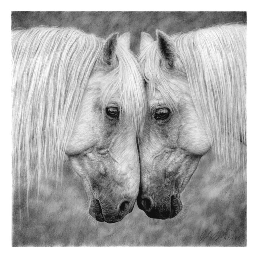Quiet Strength (Horses) Quiet Strength (Horses)