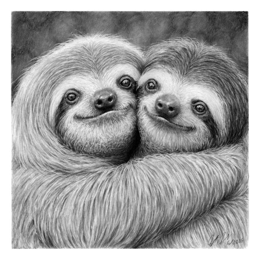 Hold me Close (Sloths) Hold me Close (Sloths)